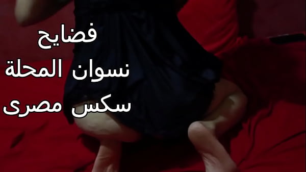 سكس عربي شرموطة مصرية طيزها كبيرة عايزة تتناك